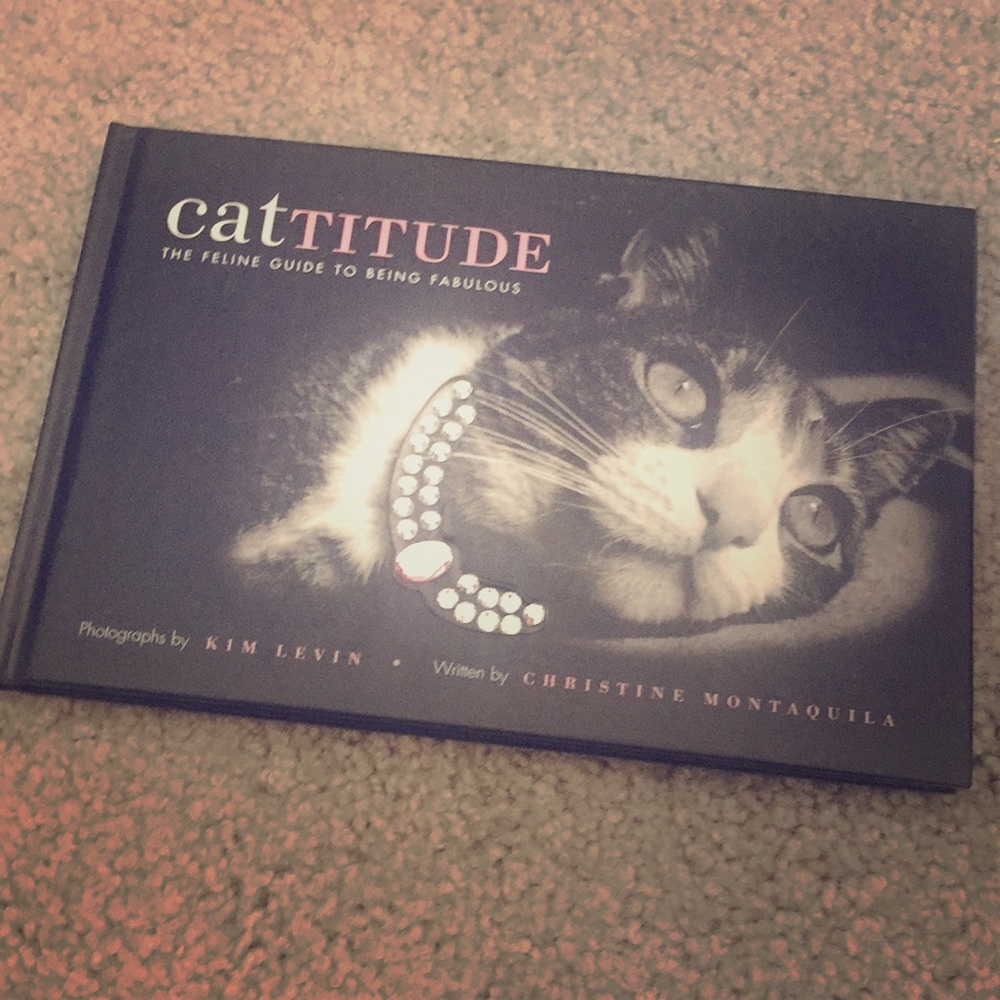 CATTITUDE - Great book for coffee table or desk.